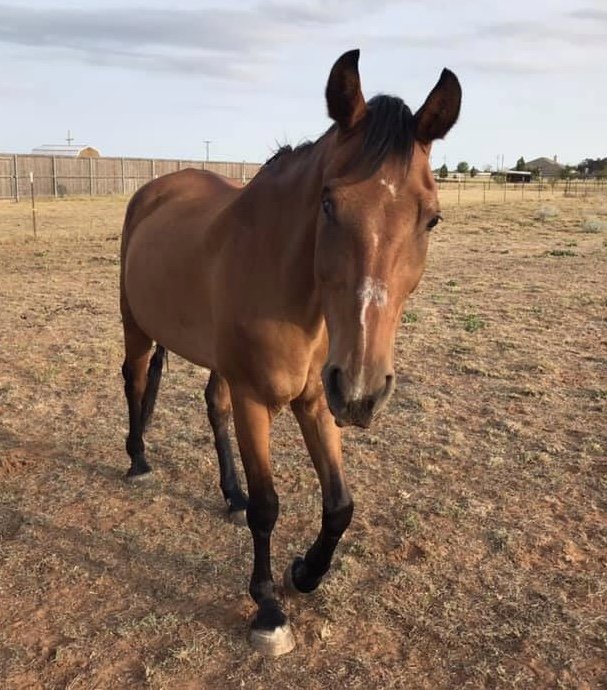 Must feel good to have that halter off