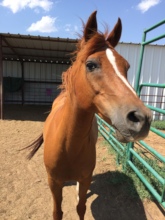Justin at his foster home in Lubbock