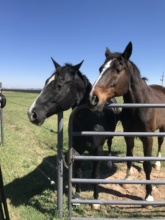 April and Robby, always side by side