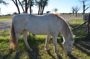 Her life as "Queen" at the foster home