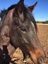 Andi's sweet face