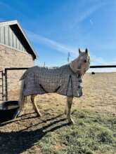 A brand new blanket (the wind is COLD in Texas)