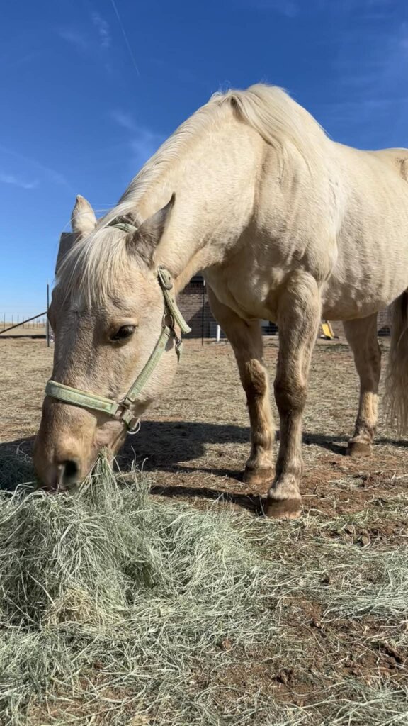 Lots of good hay at this home!