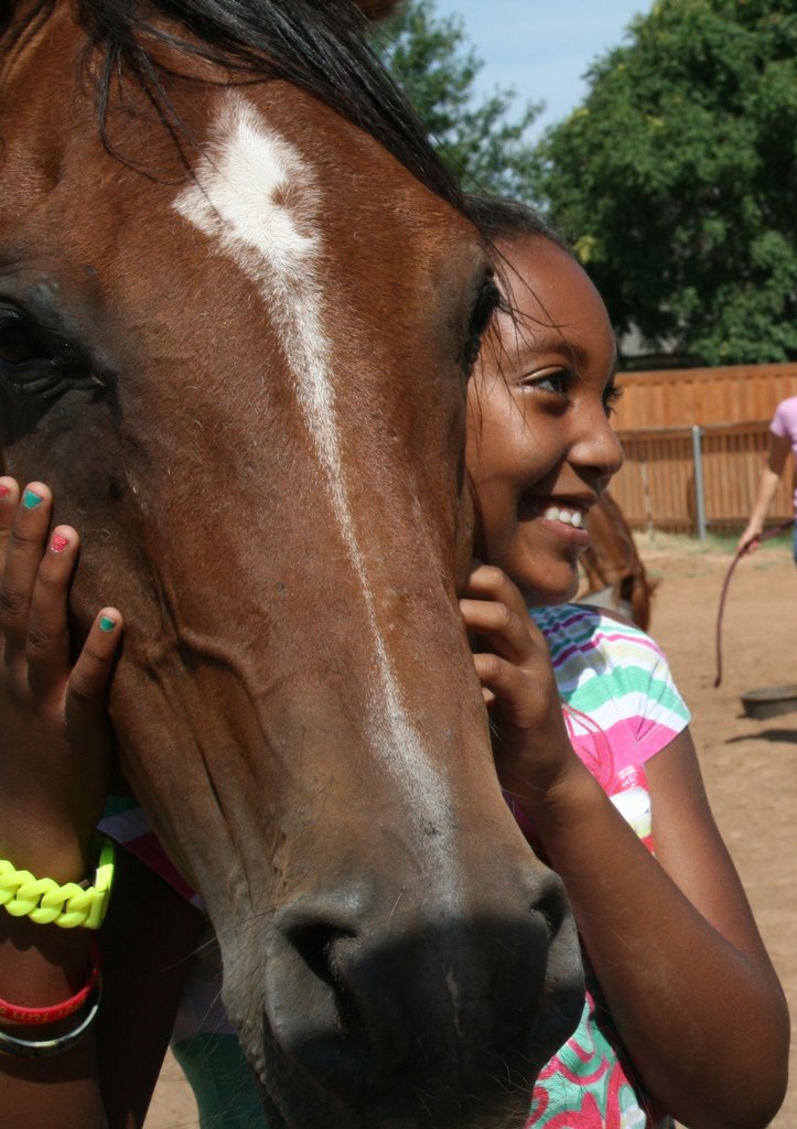 Kids and Horses, a Magical Combination