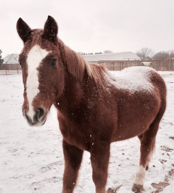 Enjoying the winter snow