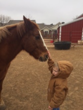 Being sweet with a little boy visitor