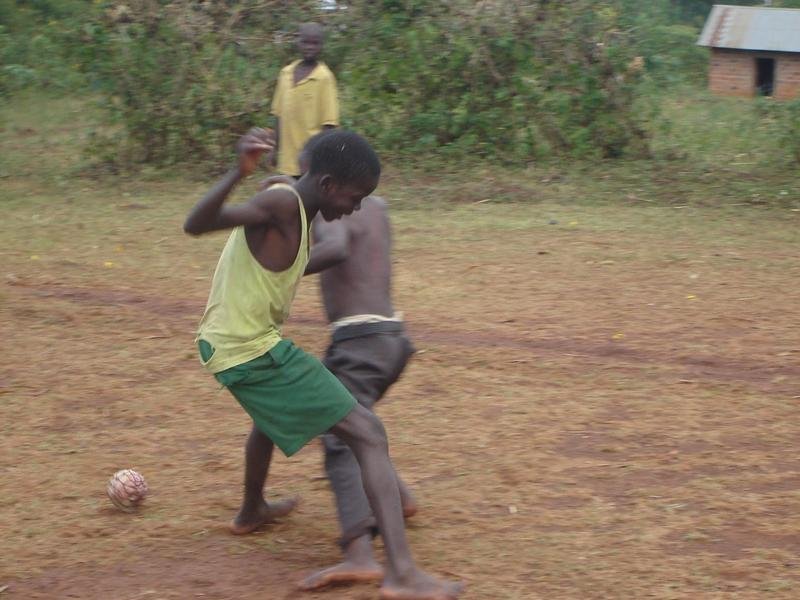 Support 250 Orphans with Education and Sport