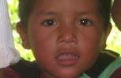 Health & Dignity for 20 Guatemalan Families