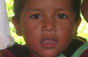 Health & Dignity for 20 Guatemalan Families