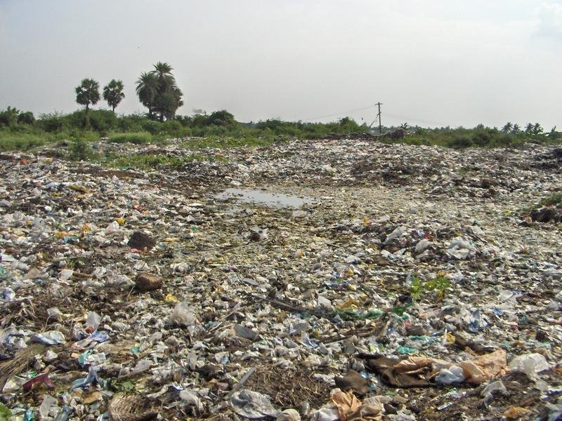 Turning waste into wealth for 1000 households