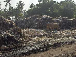 A typical garbage dump in rural India