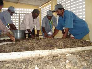 A vermi-compost site
