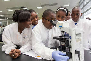 Yes, but what does DNA look like?