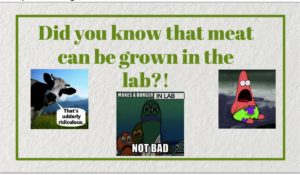 Lab grown meat discussion