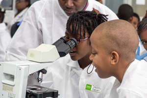 Revealing tiny critters using a microscope!