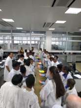 CRISPR Group Activity