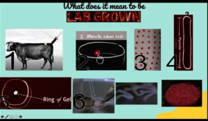 What does it mean to be lab grown?