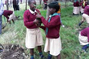 Beneficiaries of the project