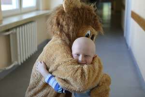 Klaidas and the Lion
