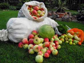 Harvested items to the hospital