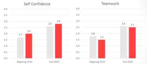 1 Rookie, 2 Intermediate, 3 Advanced,4 Outstanding