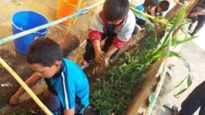 Luis's initiative:His friendsFencedTheClass garden