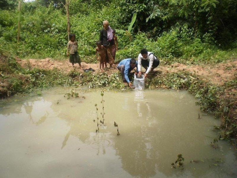 Regenerating Fish Harvests in Cambodian Villages