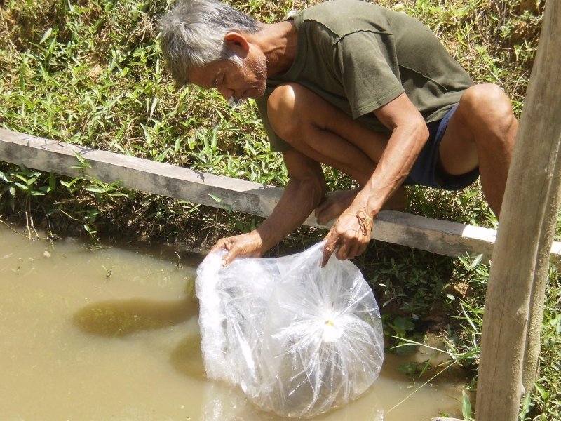 Regenerating Fish Harvests in Cambodian Villages