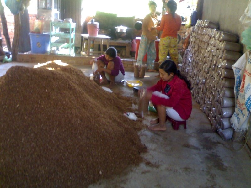 Regenerating Fish Harvests in Cambodian Villages