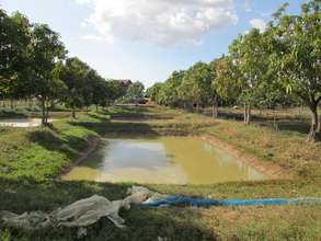 Cambodian Village Fisheries