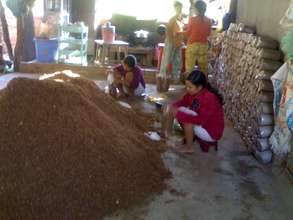 Fish-meal Preparation