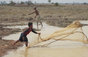 Regenerating Fish Harvests in Cambodian Villages