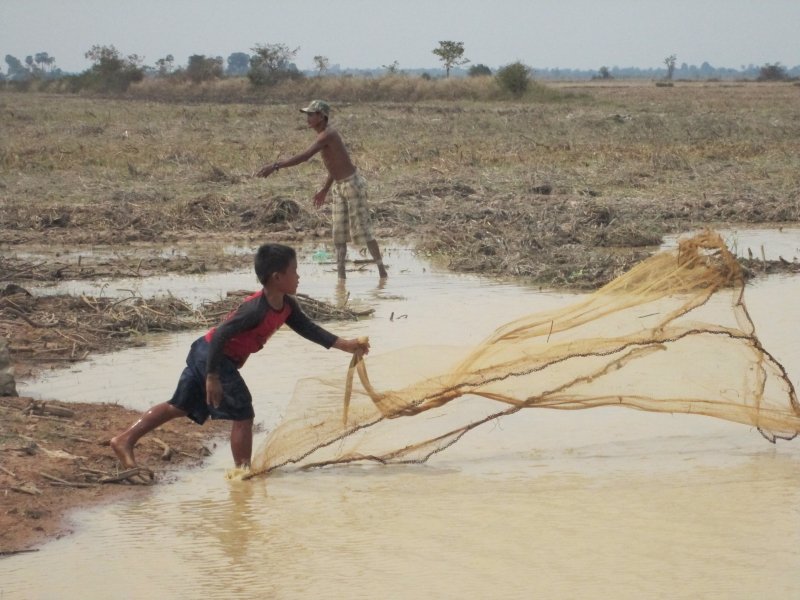 Regenerating Fish Harvests in Cambodian Villages