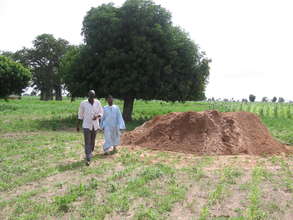 The Community's Contribution of Sand