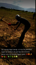 Practical applications for Agronomy student!