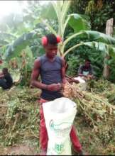 From youth harvesting to...