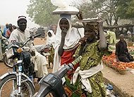 Help school-drop-outs learn trade in Dagba village