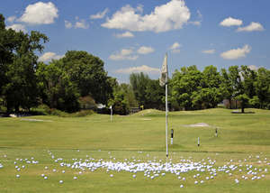 Dropped Balls!