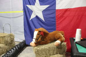 IA's Totally Texan 25th Anniversary Blast!