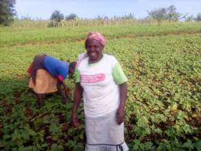 Martha at her farm where she planted maize & beans