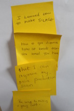 Written feedback from trainees