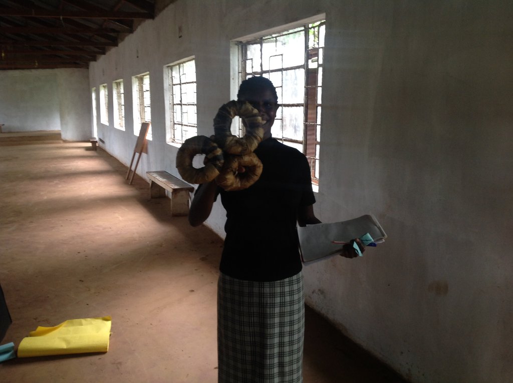 Train 120 Health & Human Rights promoters in Kenya