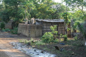 One of the CHIPS communities