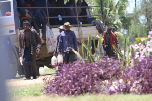 Cane cutters arriving back to their compound