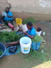 This family survives by collecting bitter herbs