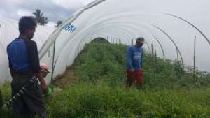 New Agricultural Processes