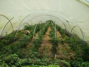 Visiting the Agriculture Project