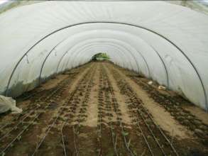 Visiting the Agriculture Project