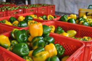 Beautiful peppers ready to be sold in Tacloban