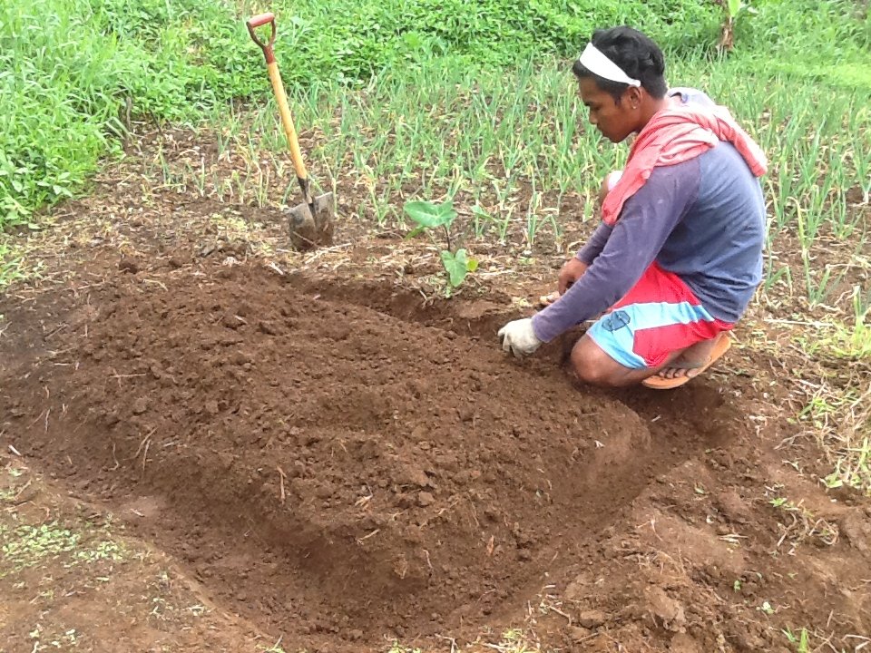 Philippine Agricultural Economic Restoration
